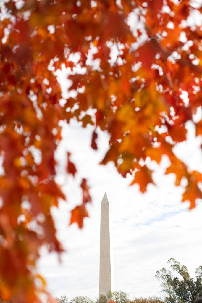 48 hours in washington d.c.