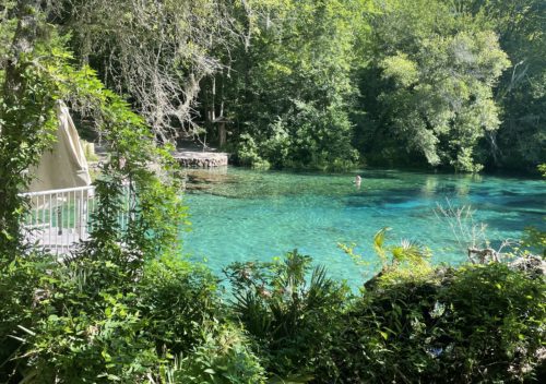 ichetucknee springs state park