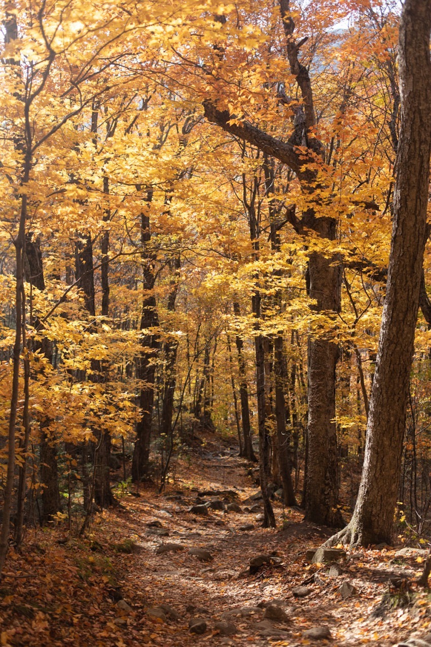 vermont and new hampshire fall road trip