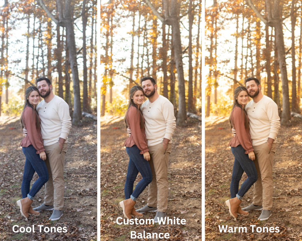 how to get perfect white balance using the expodisc