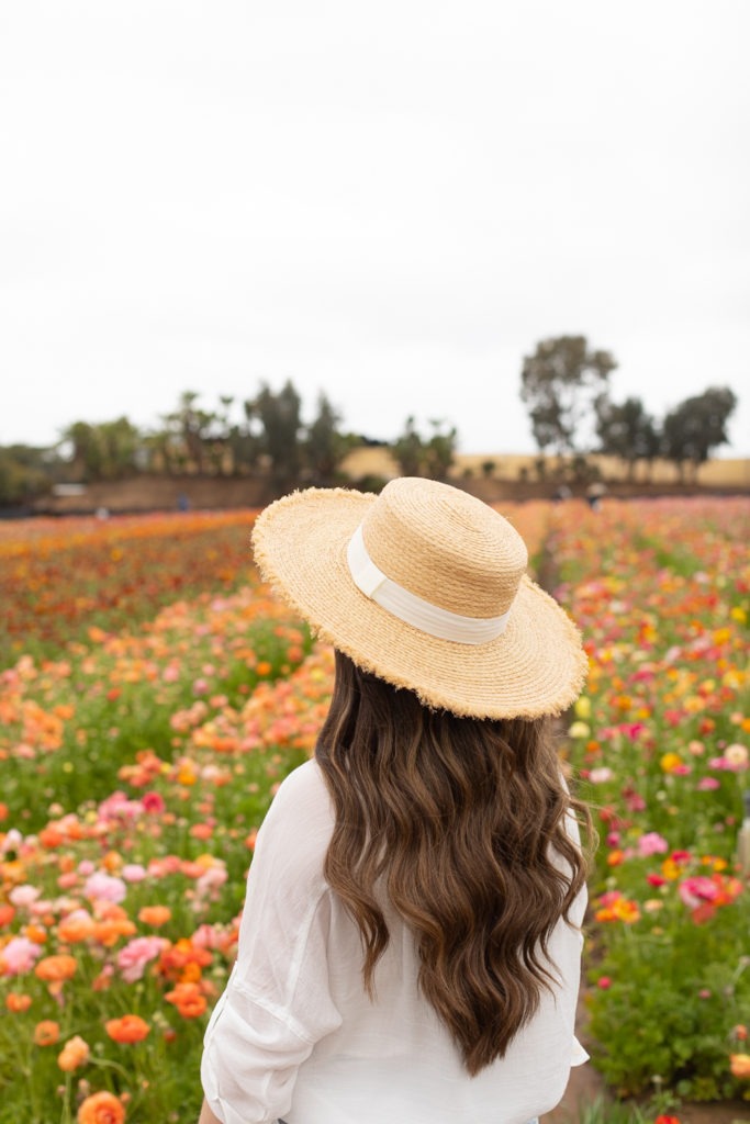 Carlsbad flower fields 