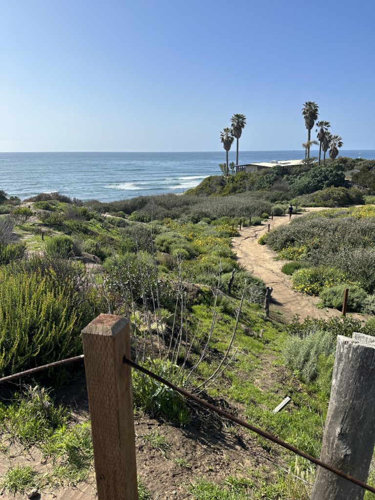 weekend guide to San Diego 