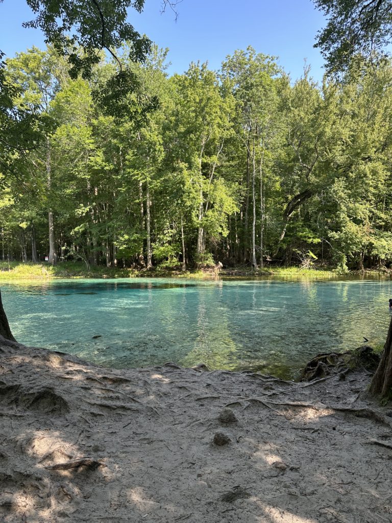 best blue springs in florida
