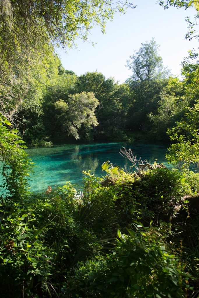 best blue springs in florida