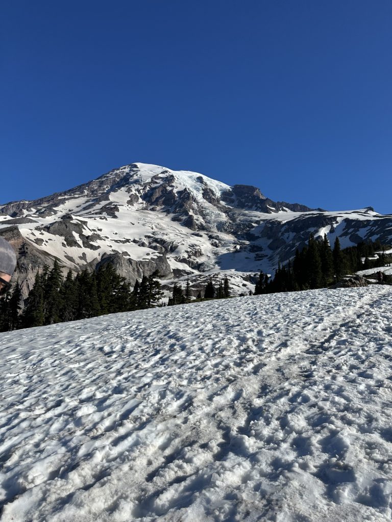 24 hours in mt. rainier national park