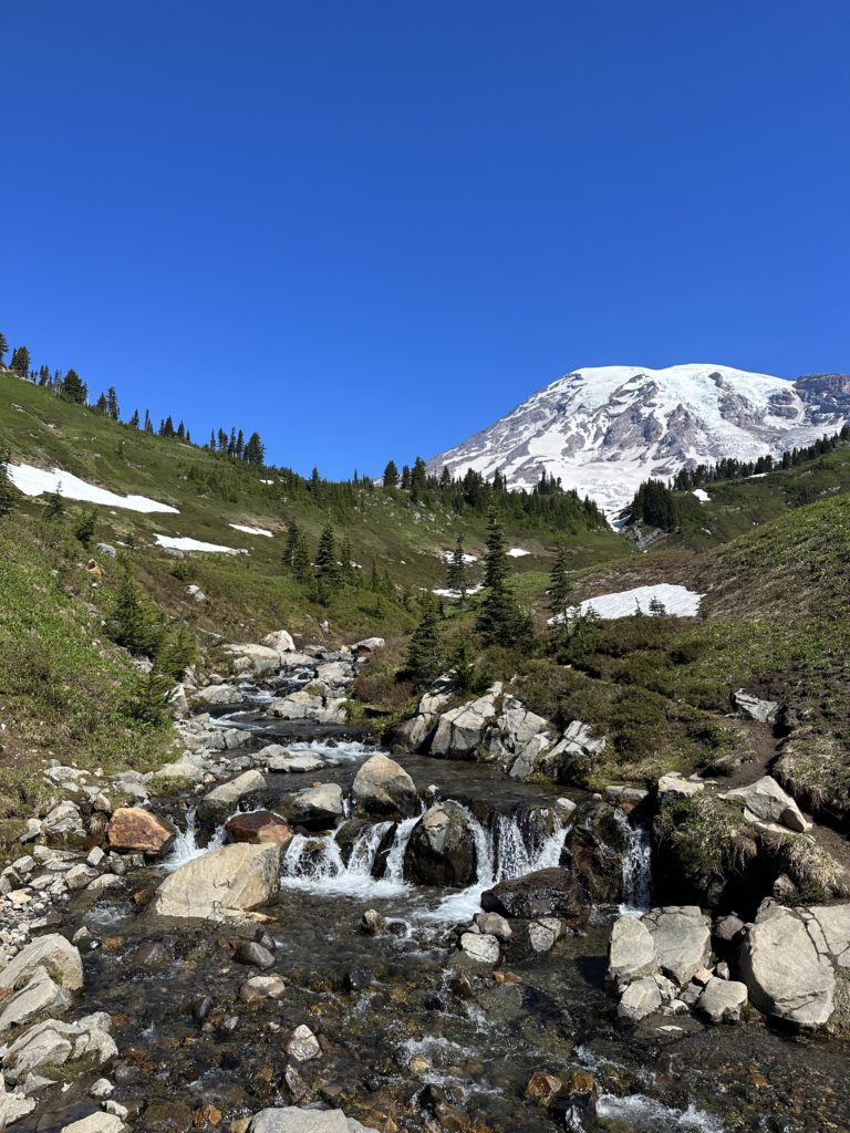 24 hours in mt. rainier national park