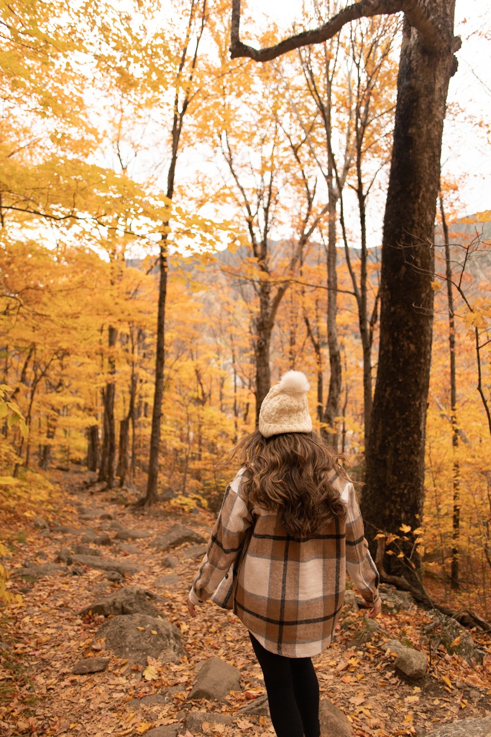 things to do at Franconia Notch state park