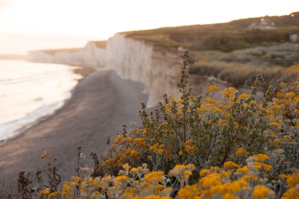 Southern England road trip